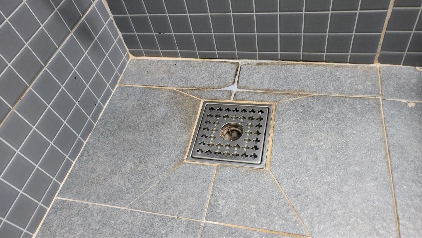 Shower drain