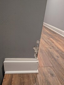 Master bedding stained and torn