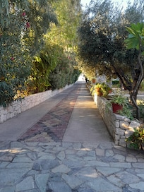 Walkway to hotel