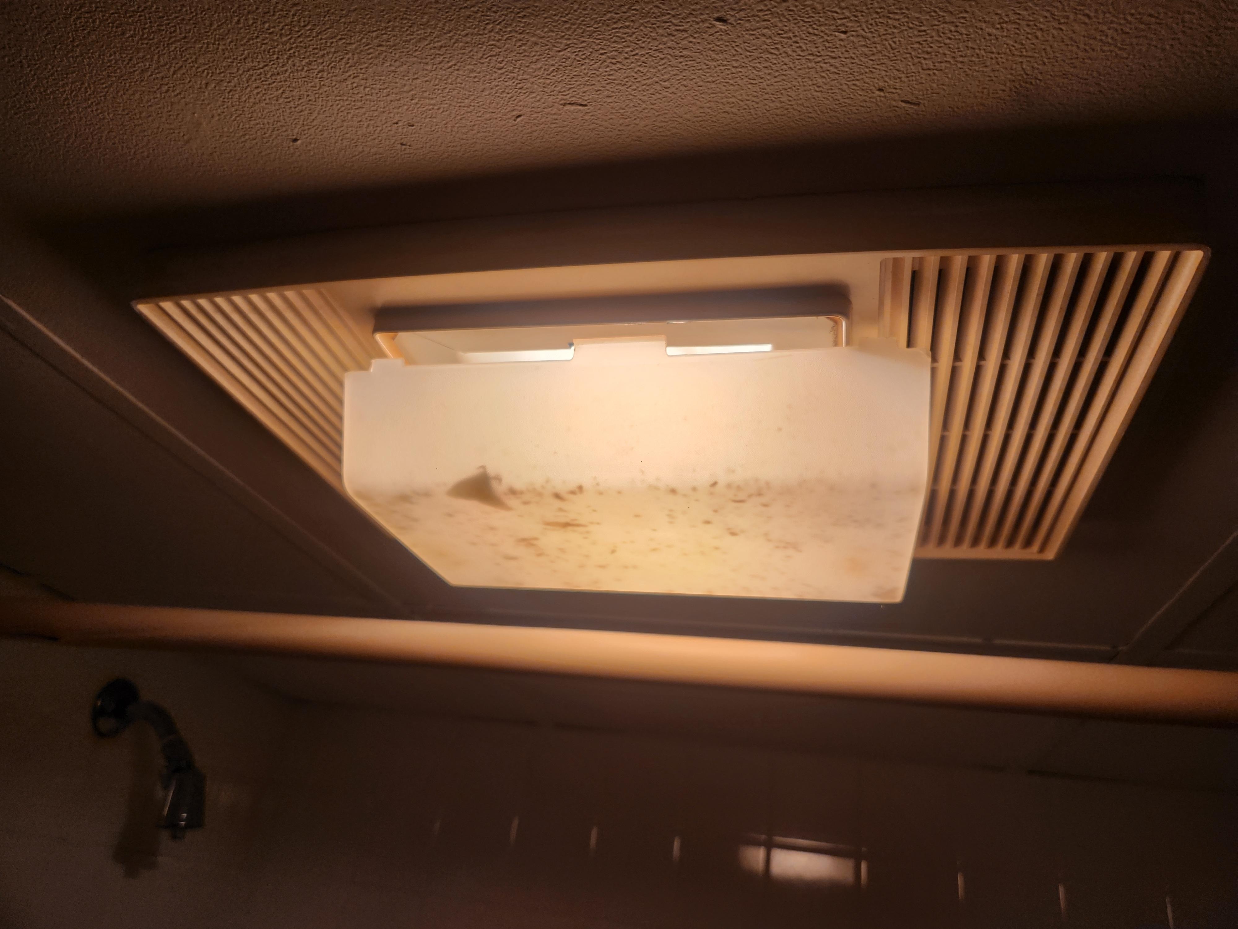 dead bugs in fan. fan didn't work in both rooms