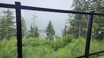 View looking at marina