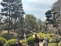 Shukkeien gardens