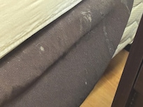 Stained bedding