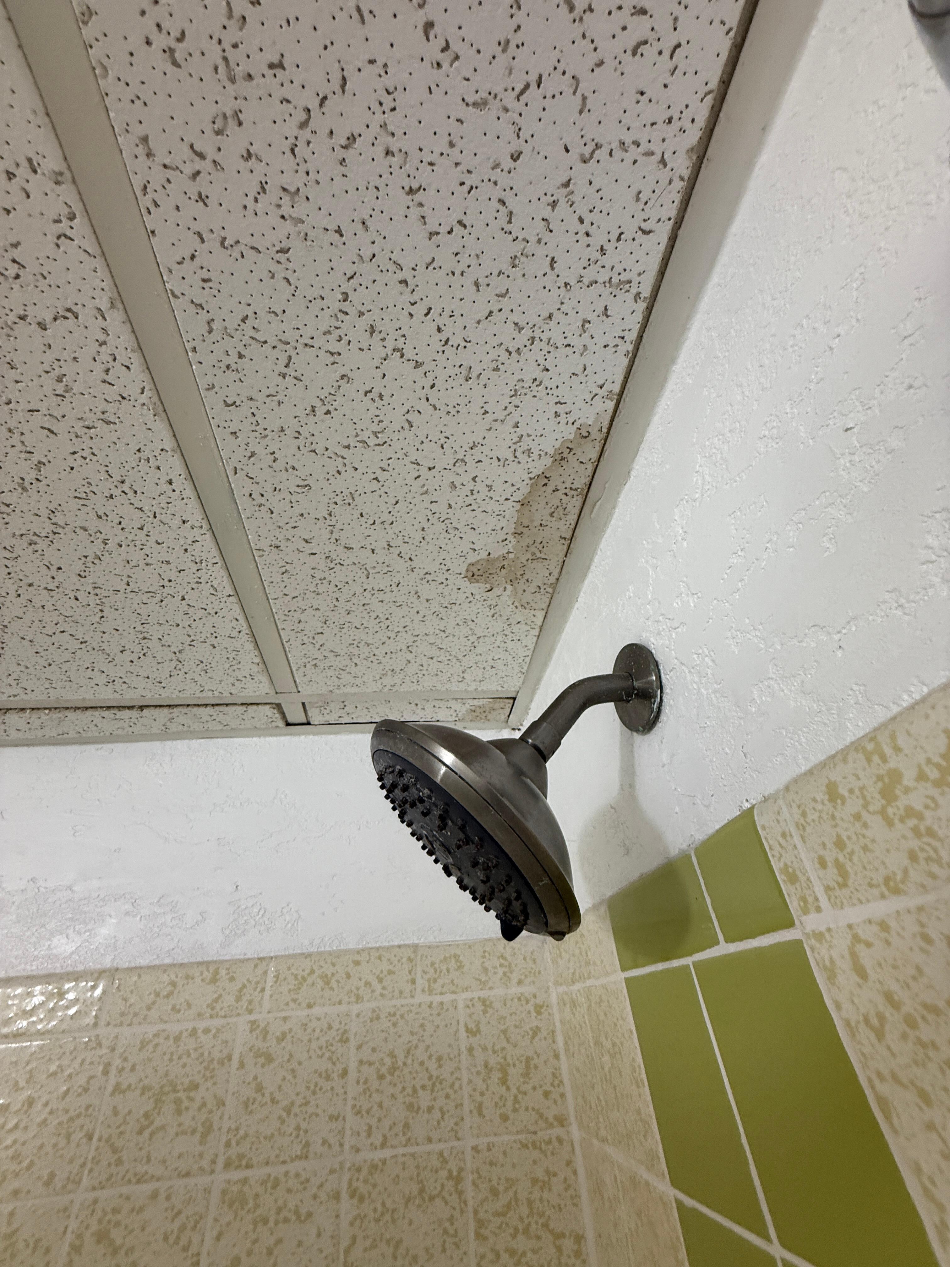 Ceiling grids