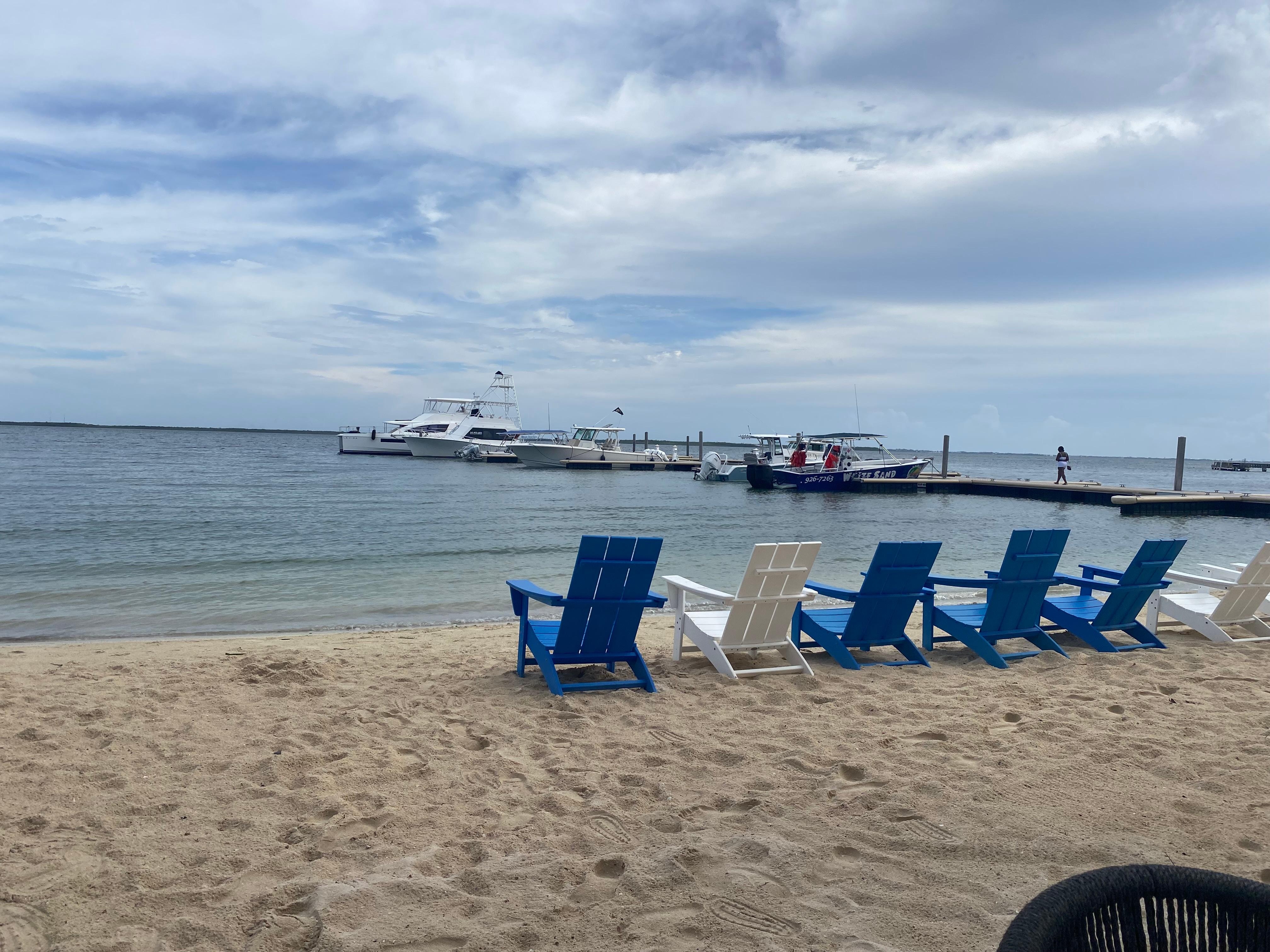 Lots of chairs and Loungers