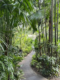 Grounds