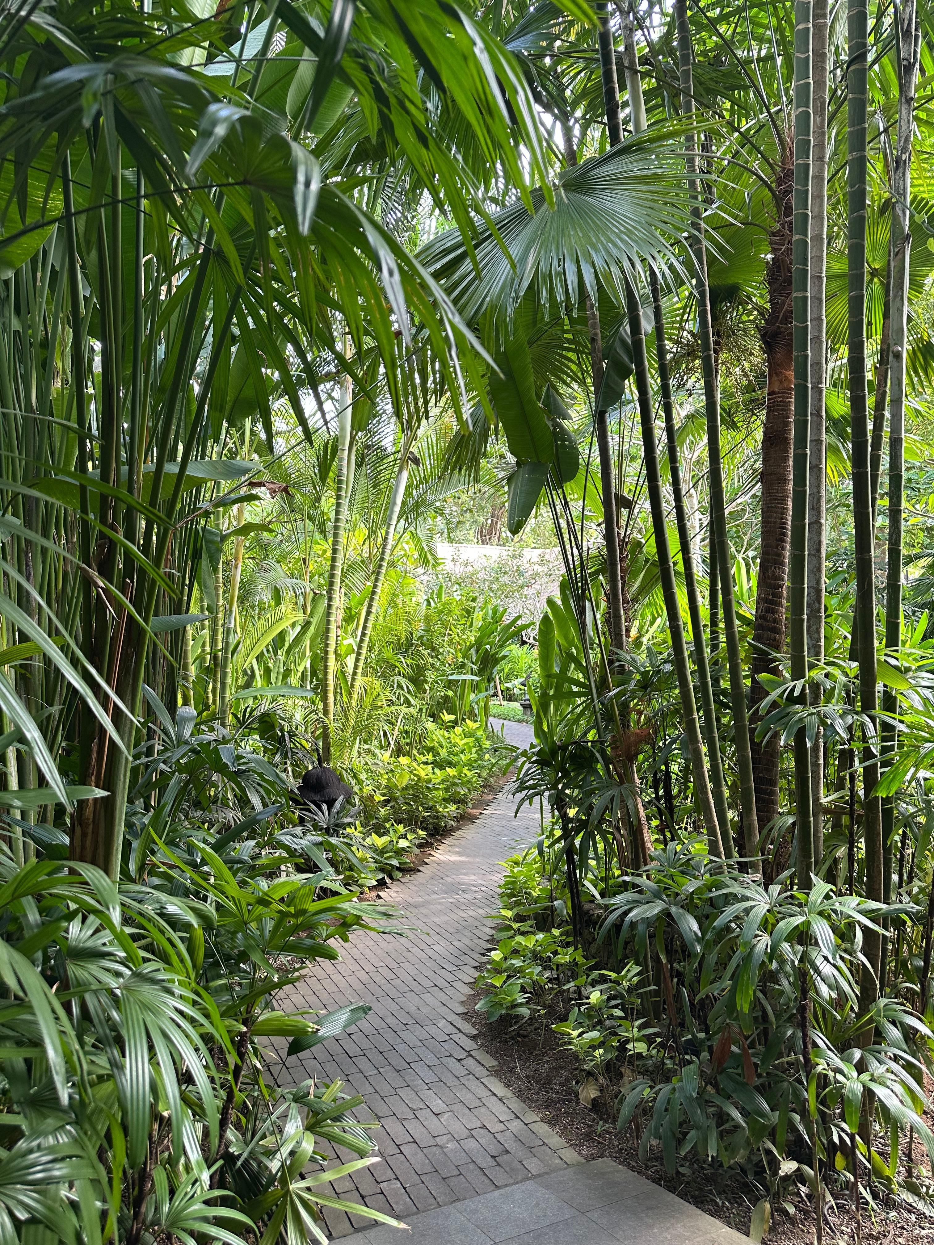 Grounds
