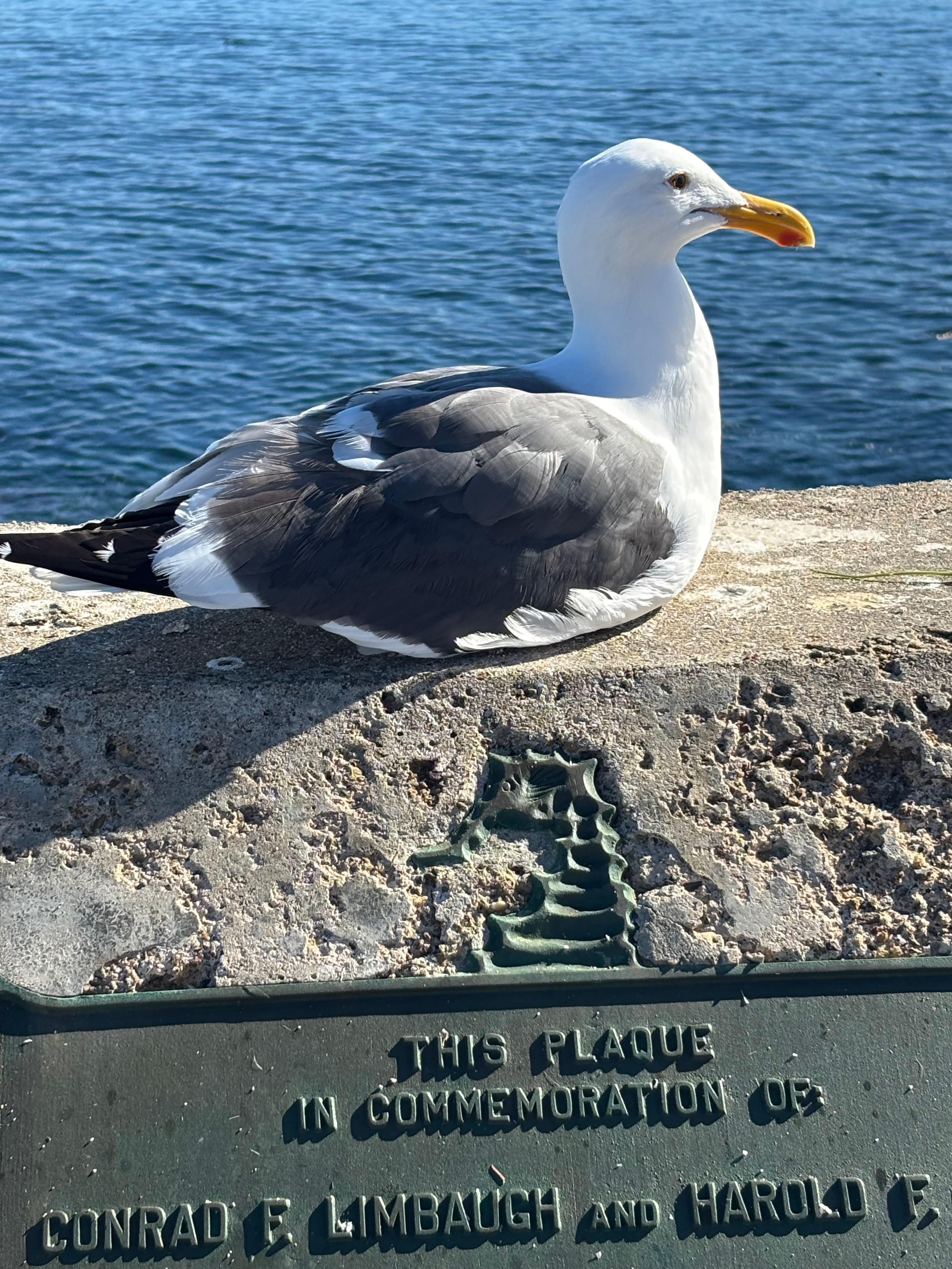 And love the wildlife 