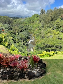 Knock your eyes out views