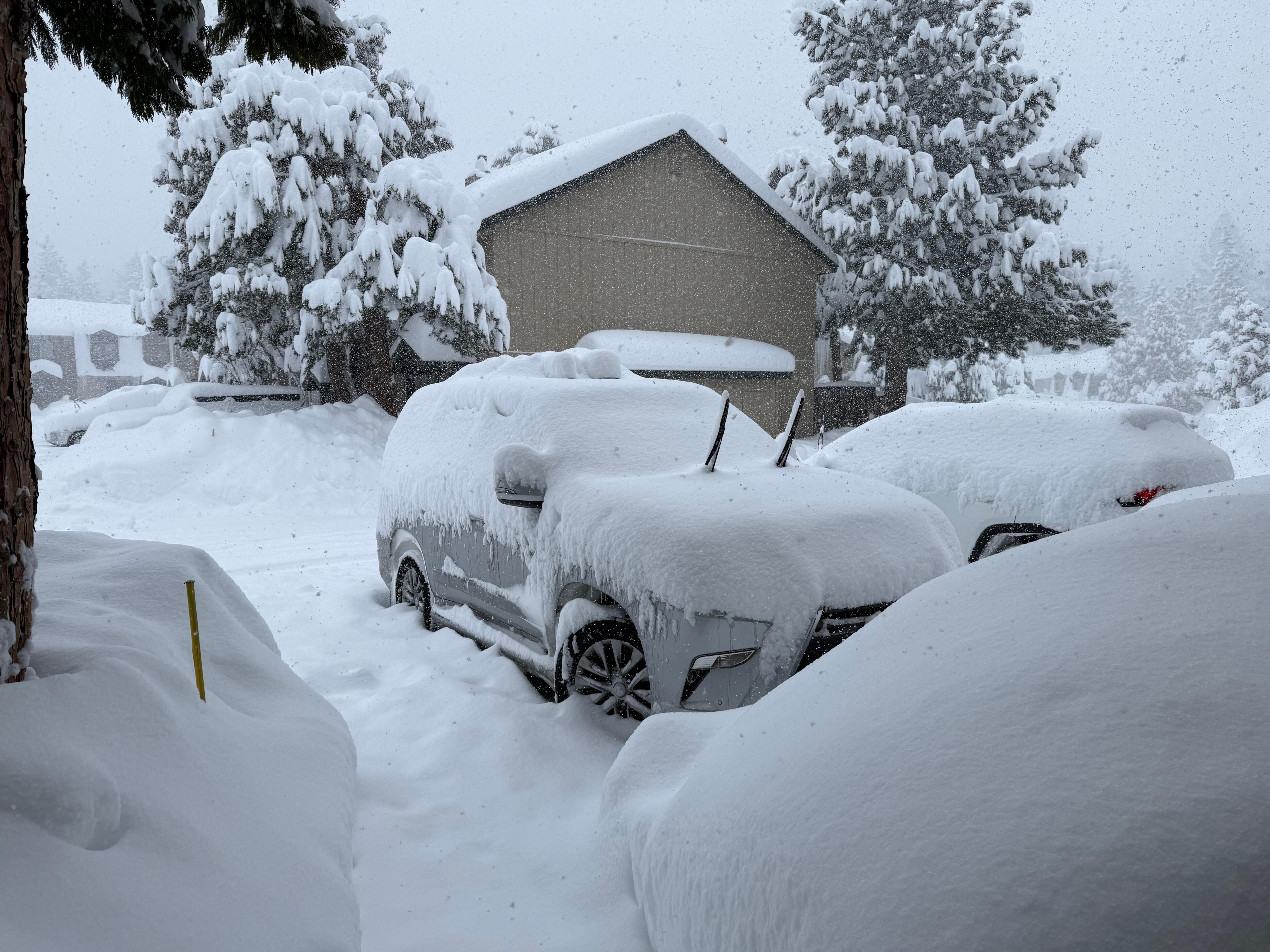 Overnight snowfall. The plow crew arrived later (instructions on the bulletin board for the process) and did an excellent job! 