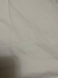 More dog hair