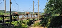 Mini golf on City Island Harrisburg. Weekends has a train around the island