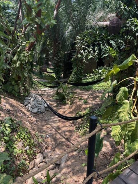 Jungle surroundings