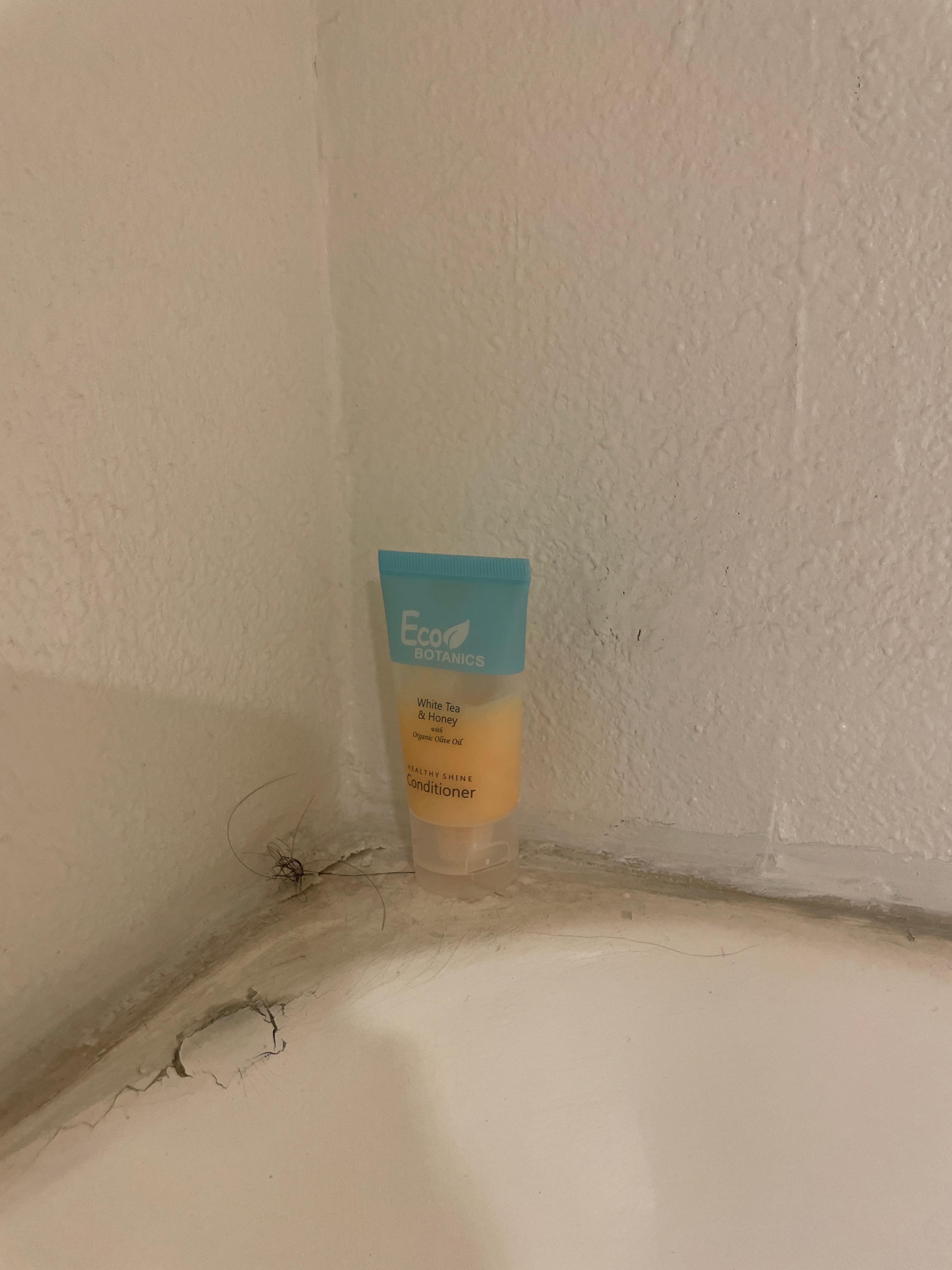 Hair and conditioner from previous guest