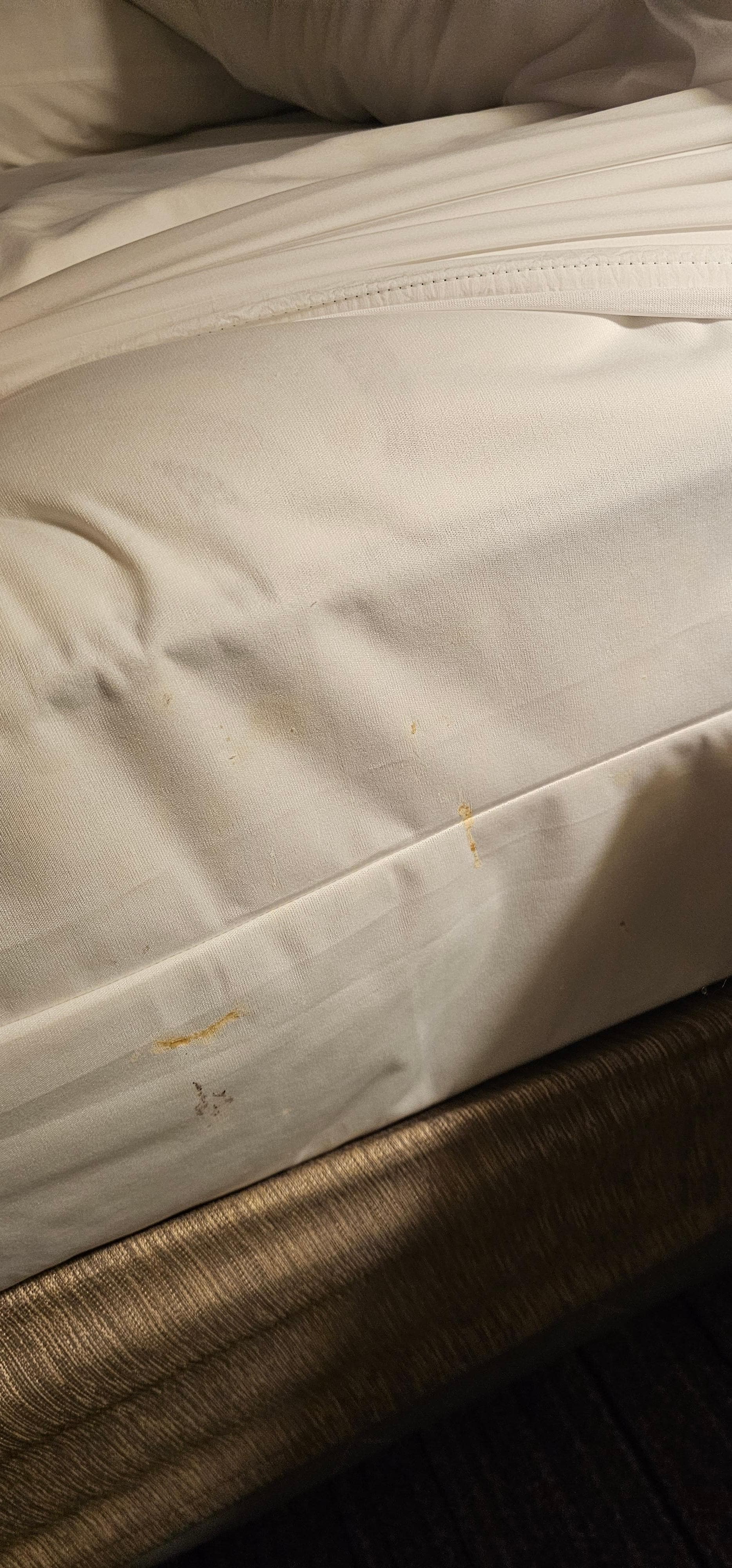 This is what I found under our sheet...