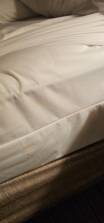 This is what I found under our sheet...