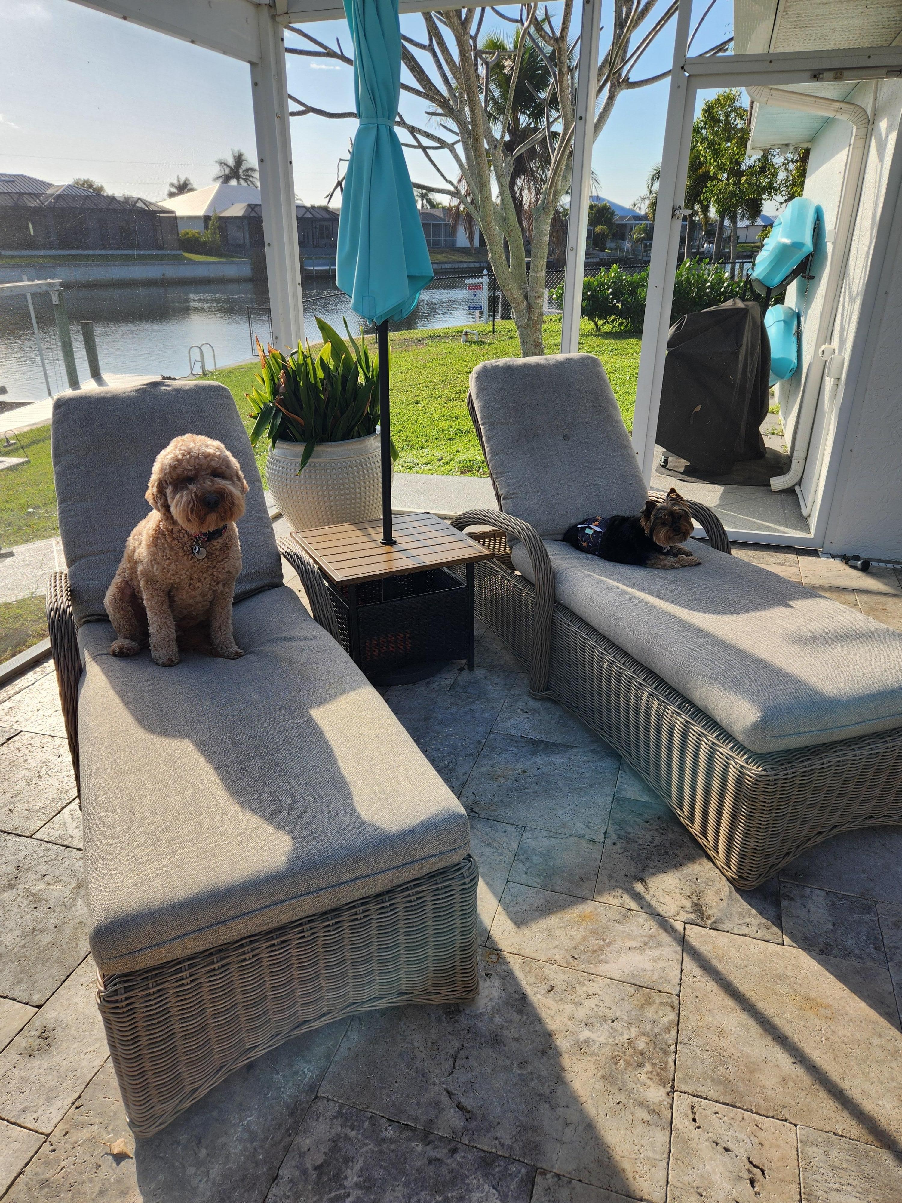 Buzz and Walter loved the lanai!