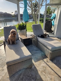 Buzz and Walter loved the lanai!