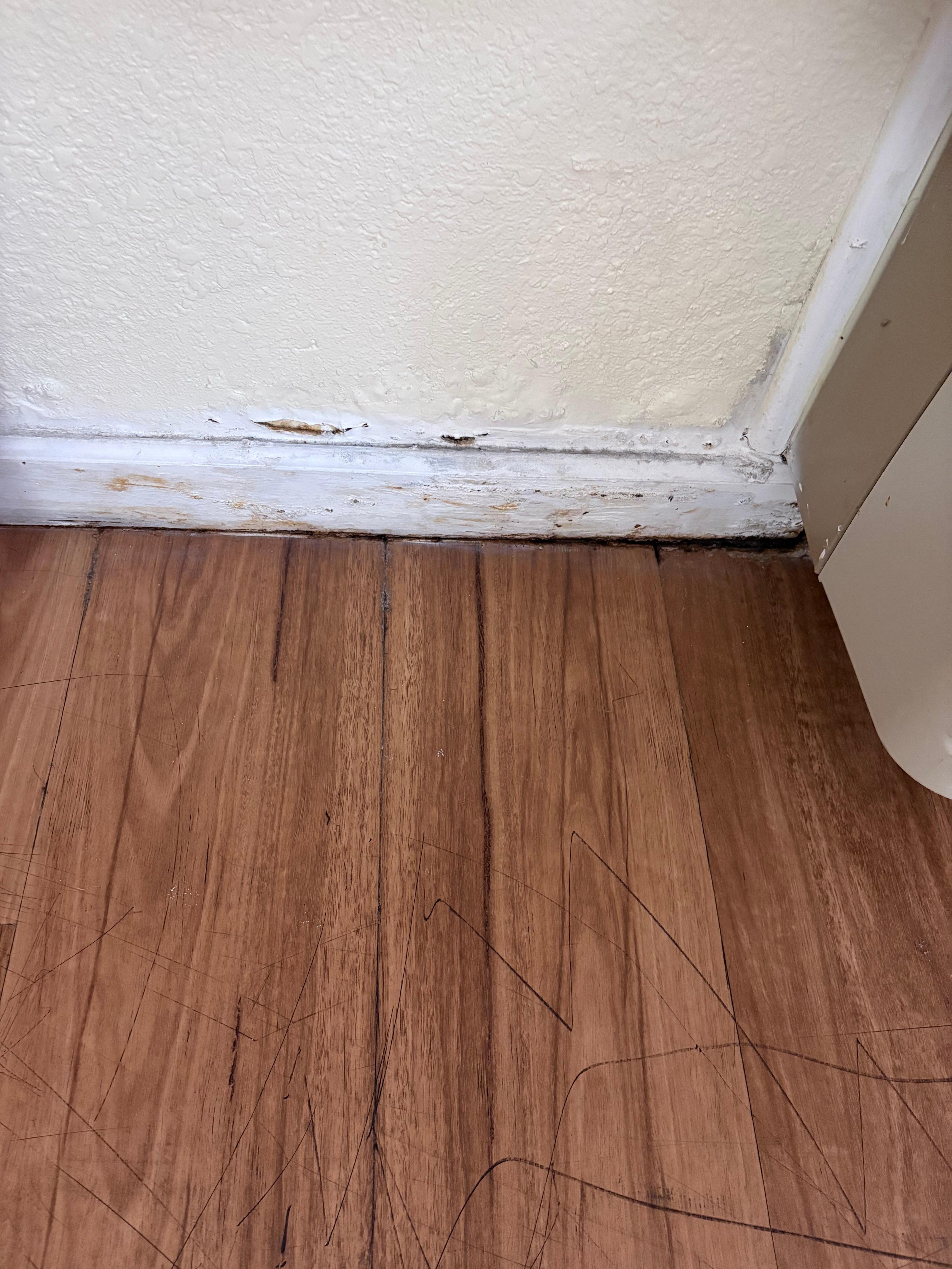 Water damage in room under window 