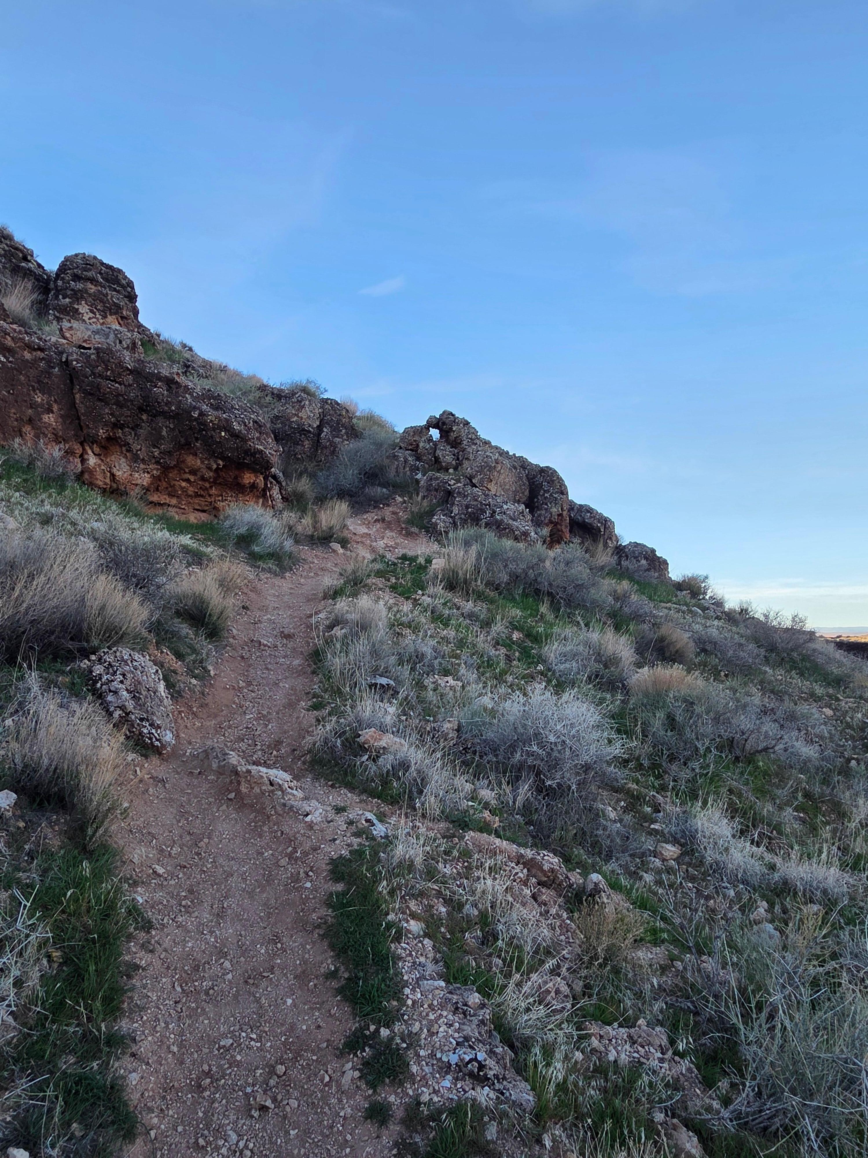 Photos from the hike near the house. 