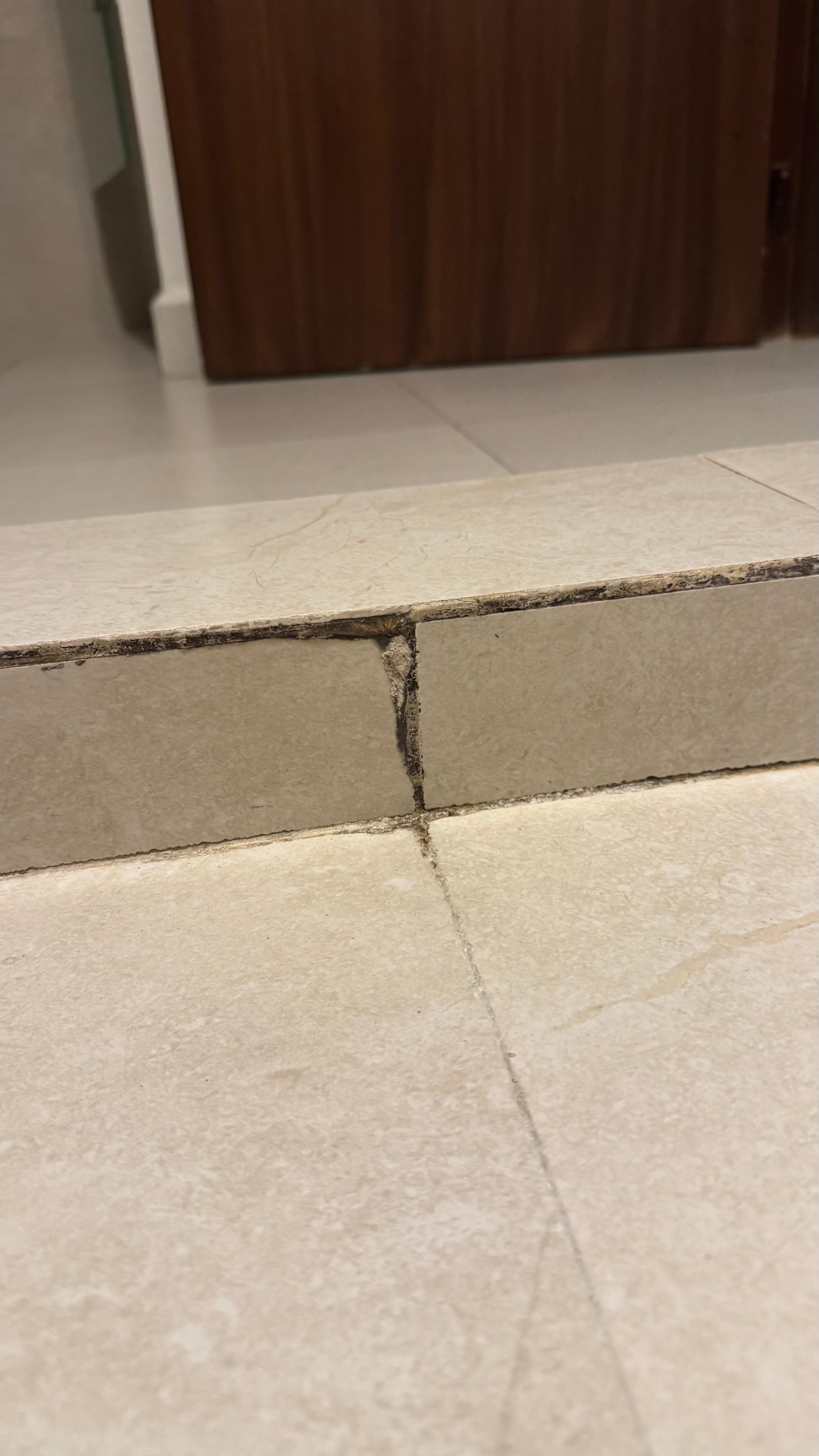 Mold and mildew in shower