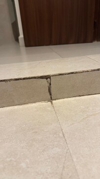 Mold and mildew in shower