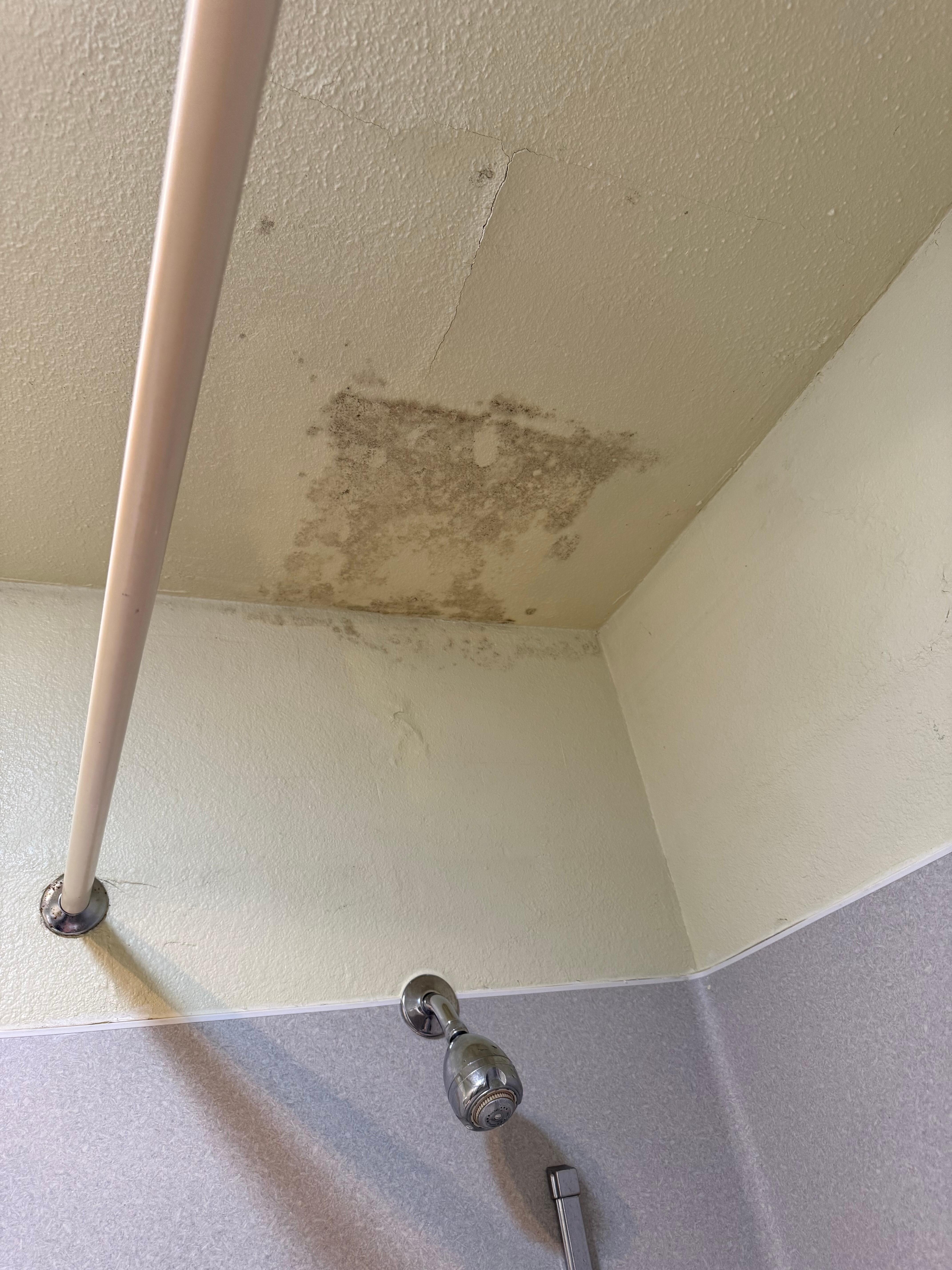 Mold