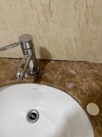 Black mold on the bathroom counter