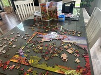 Such a relaxing place to work on a puzzle and play Canasta