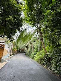 View from front door