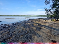 The rock beach at low tide, immediately below the cottage.