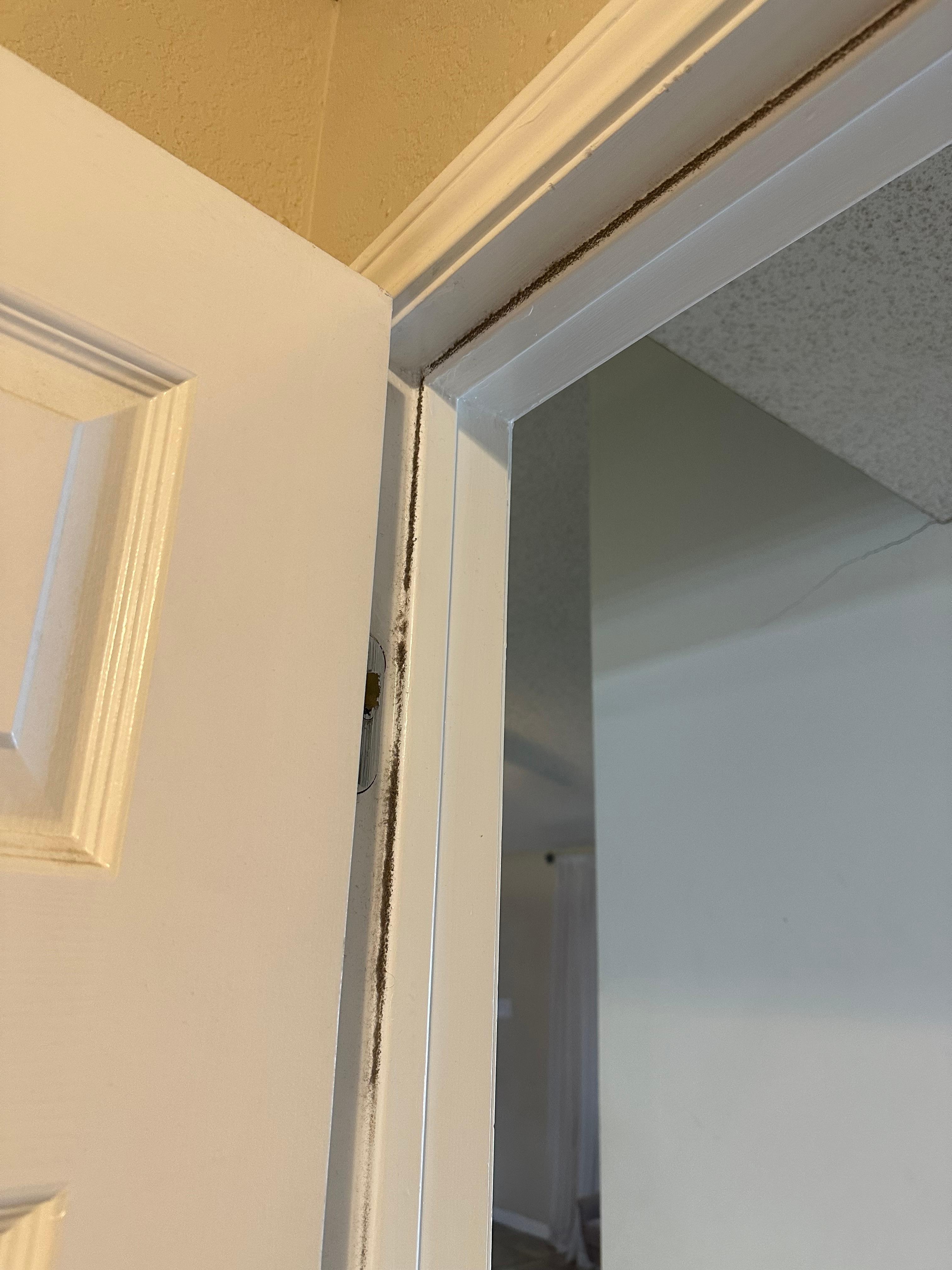 Master bedroom door dirt