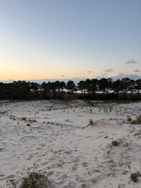 View of the dunes right out back