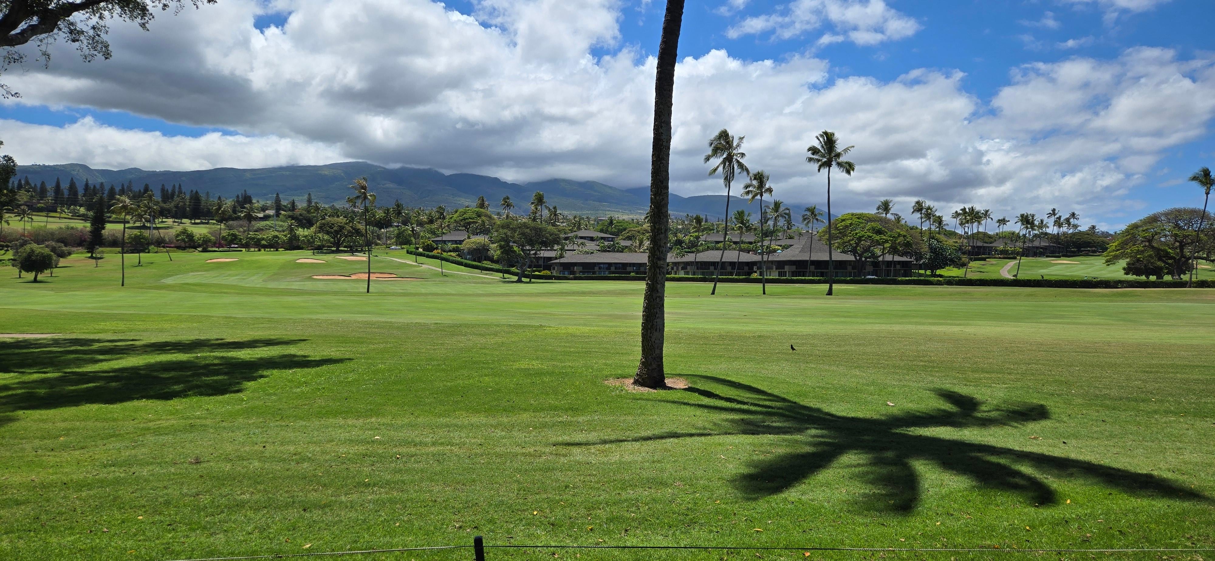 The golf course by Maui Eldorado