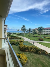 View from garden view room
