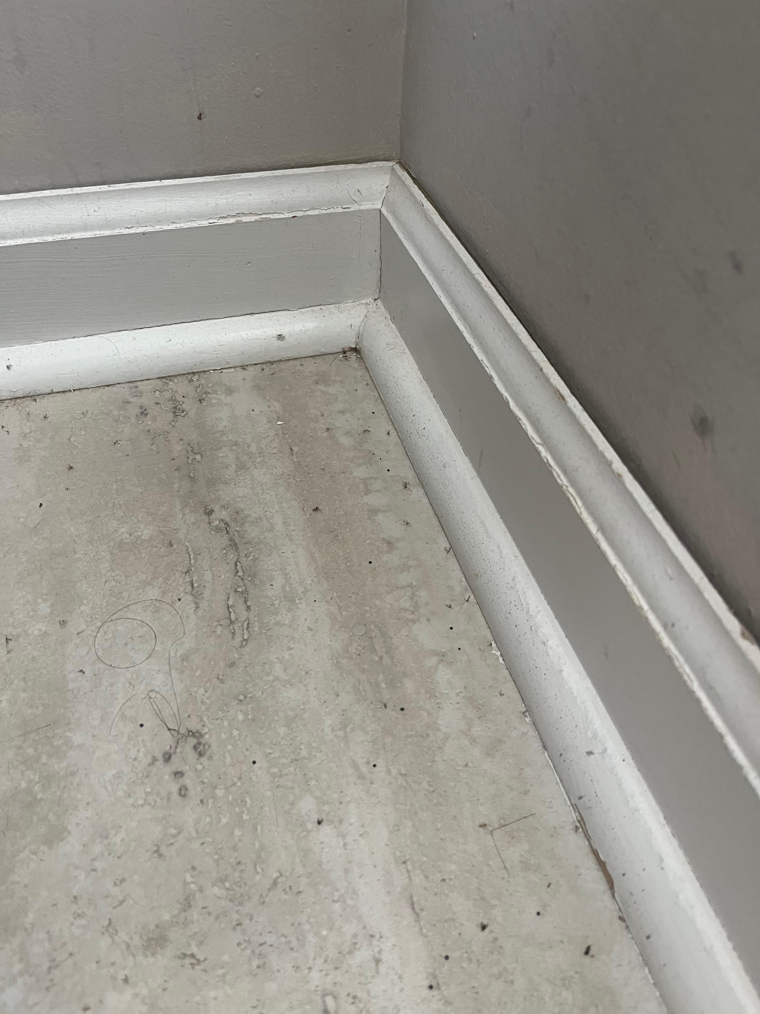 dirty floors and baseboards 