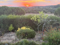 Sonnenaufgang vor der Terrasse