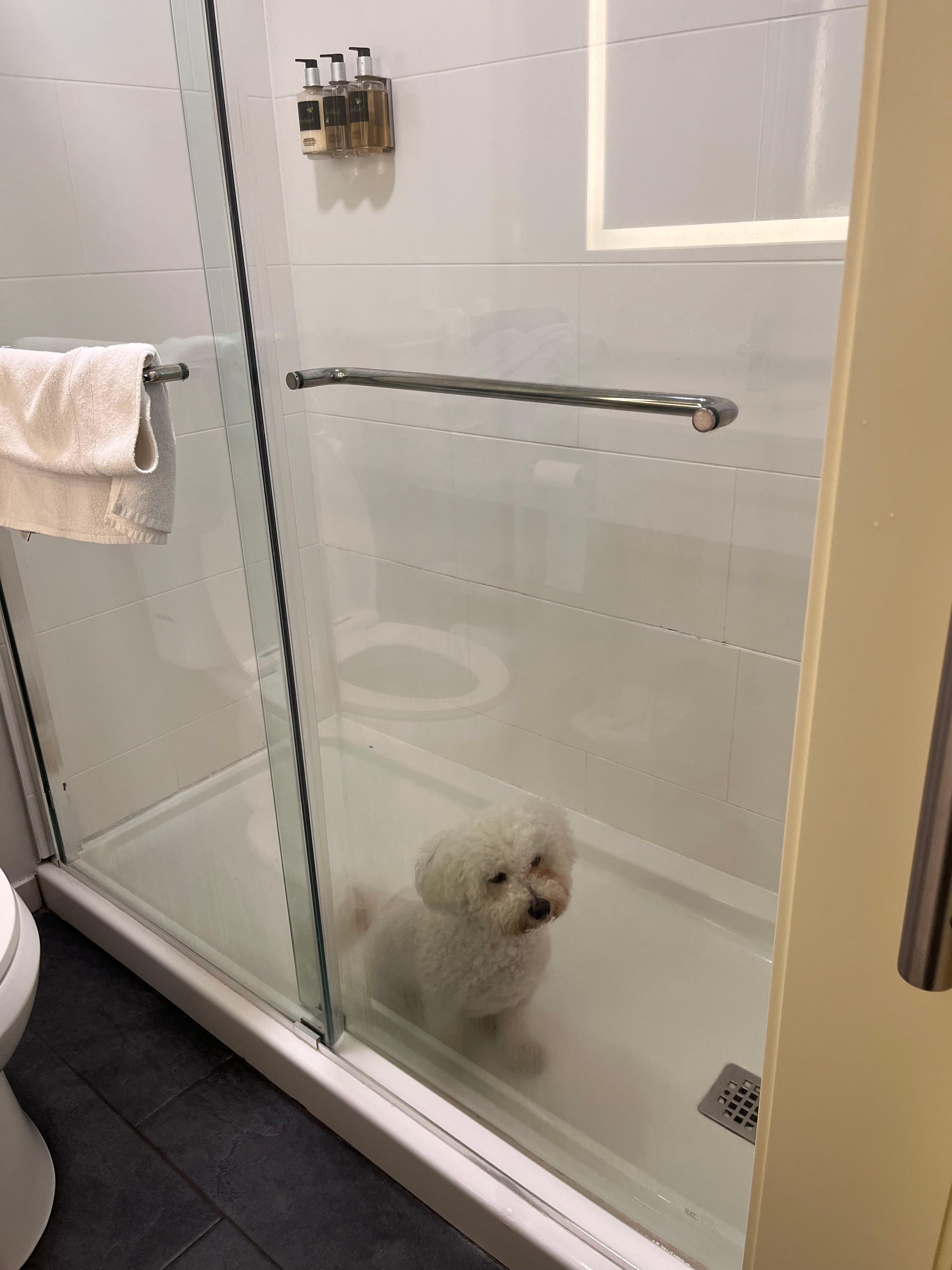 My dod in the bathroom ❤️