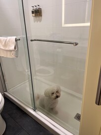 My dod in the bathroom ❤️