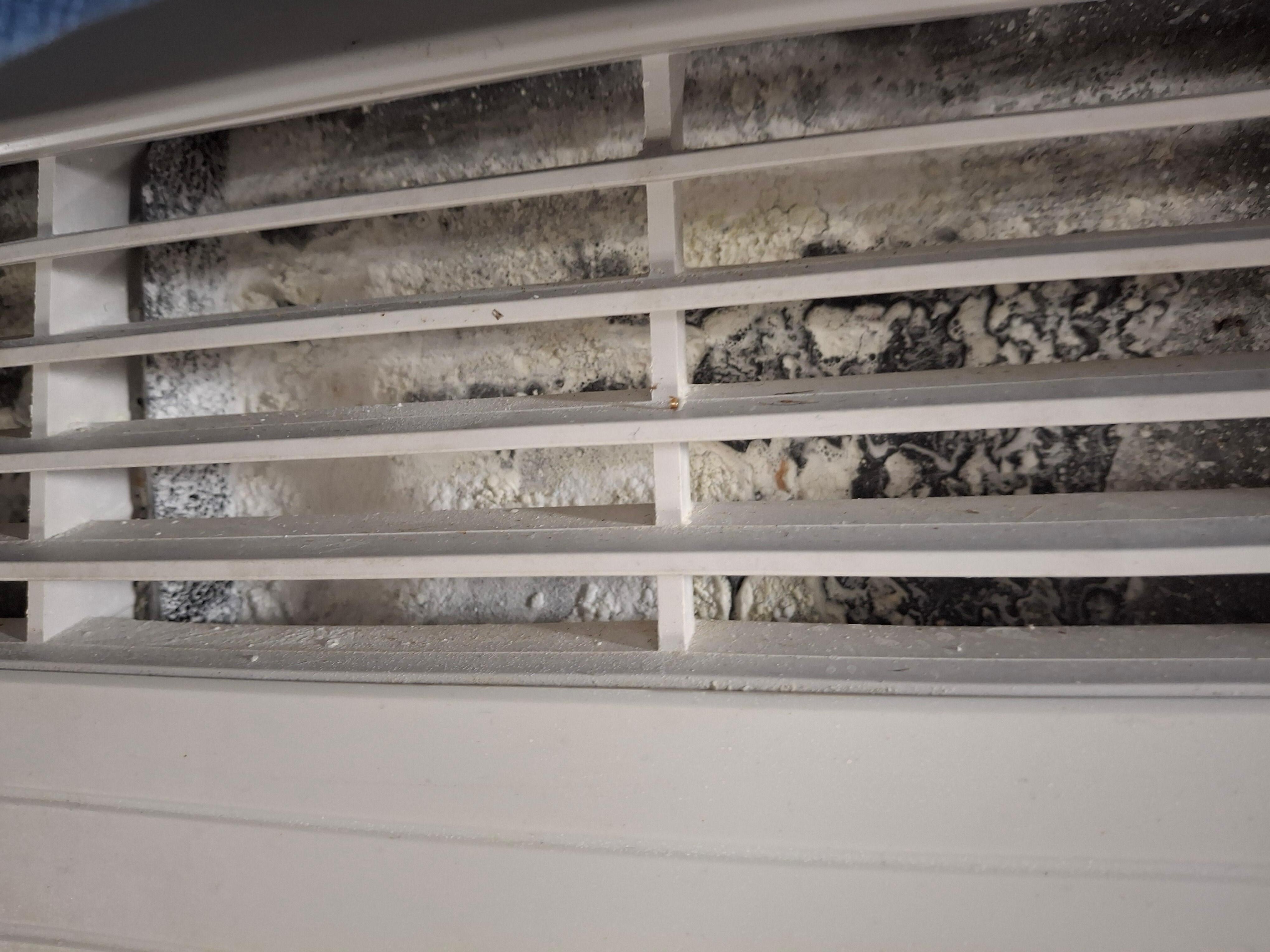 The air vent 🤢