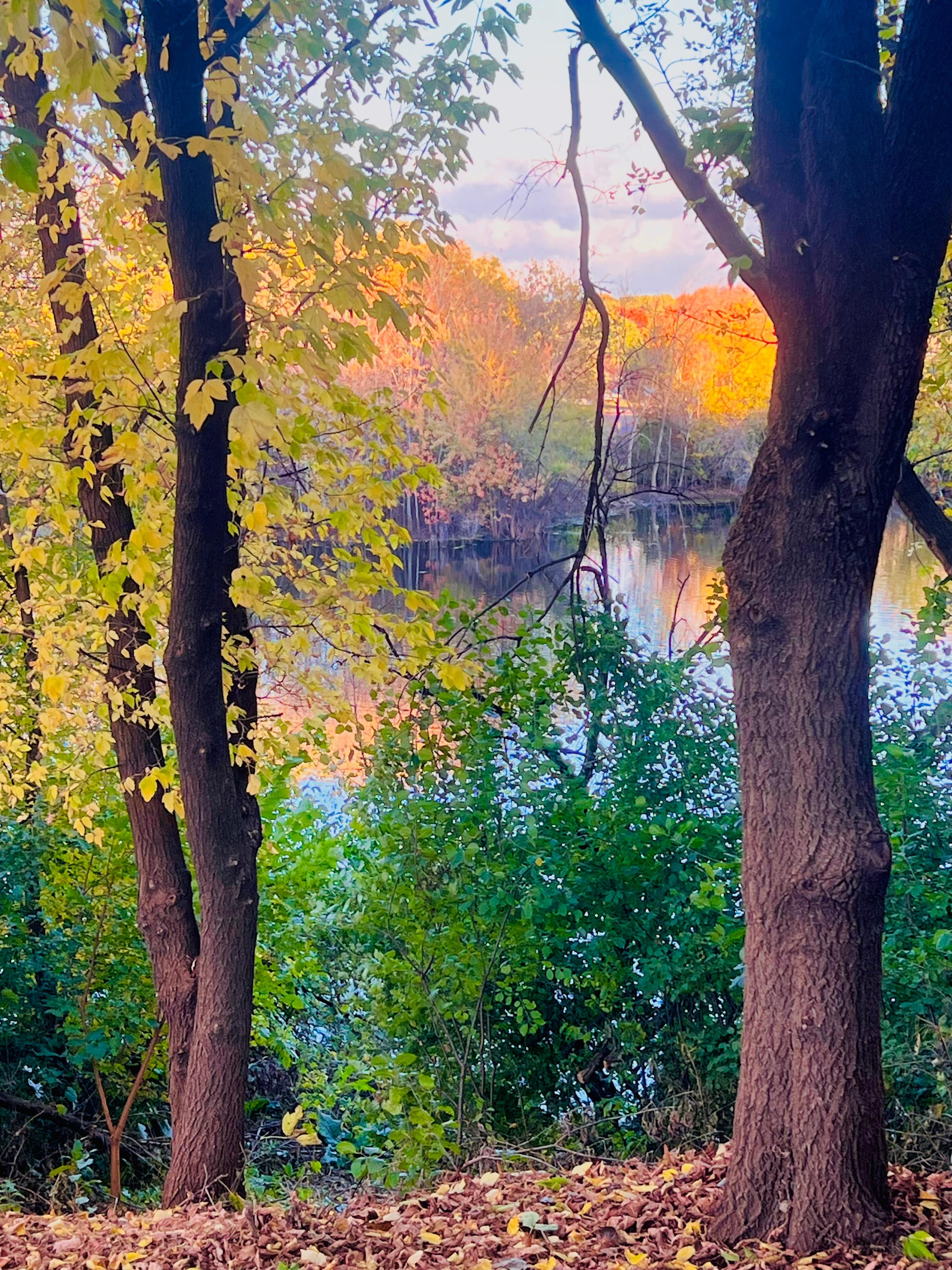 View from the lakeside by the hotel