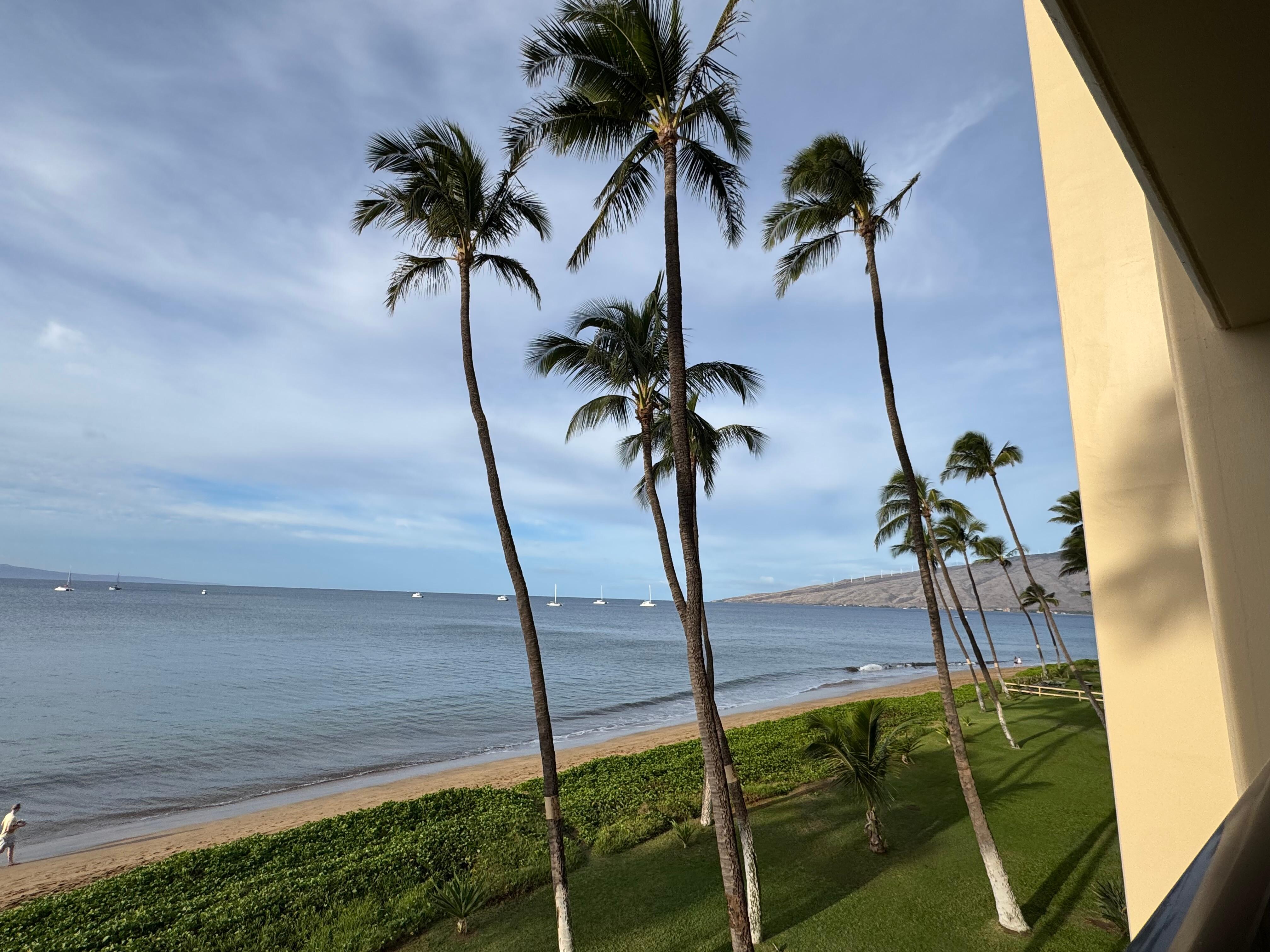 View from lanai. 