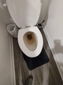 nasty toilet