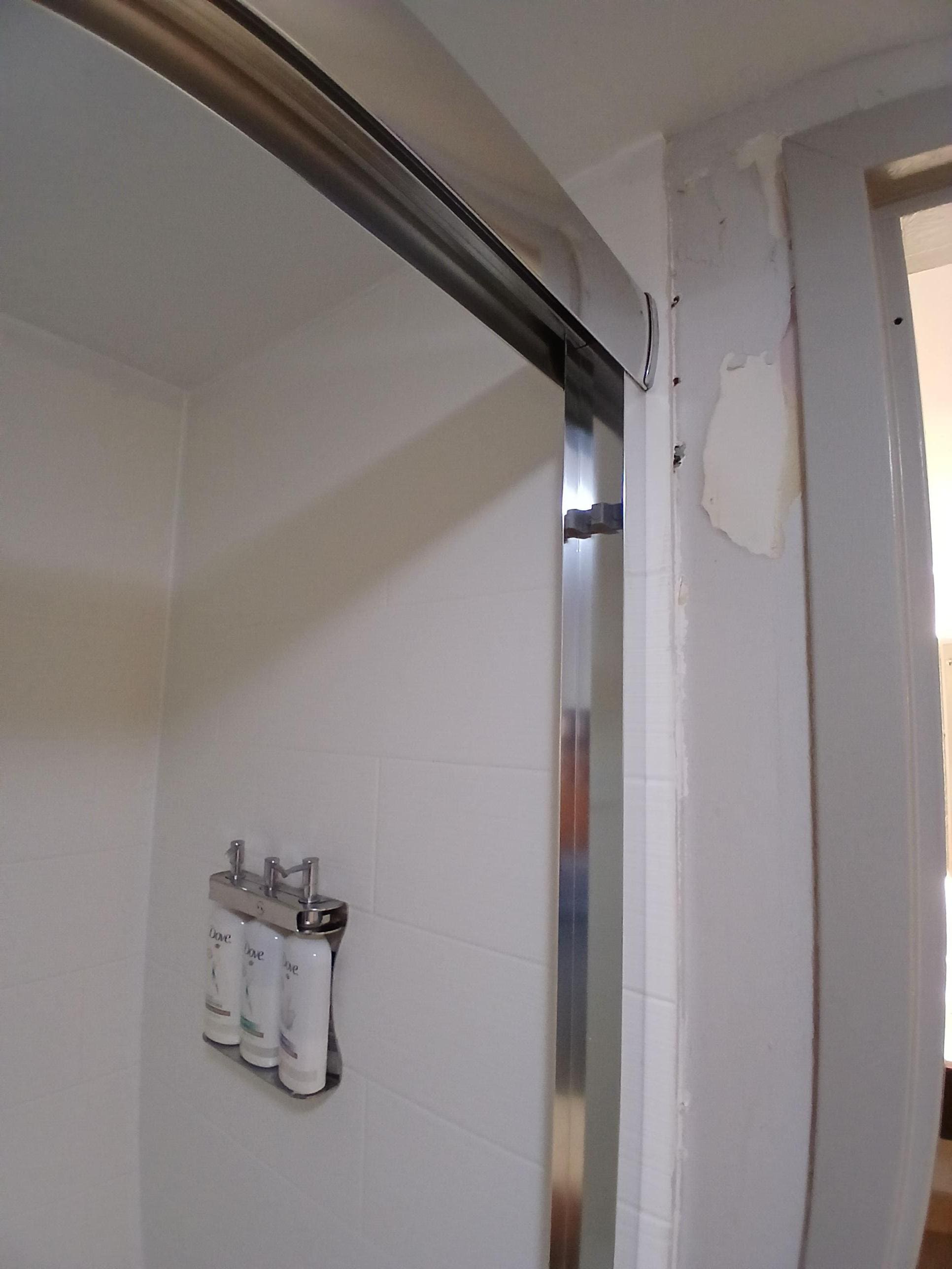 Mold and insects inside wet paint bathroom 