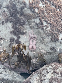 Tide pools and tons of exploring.