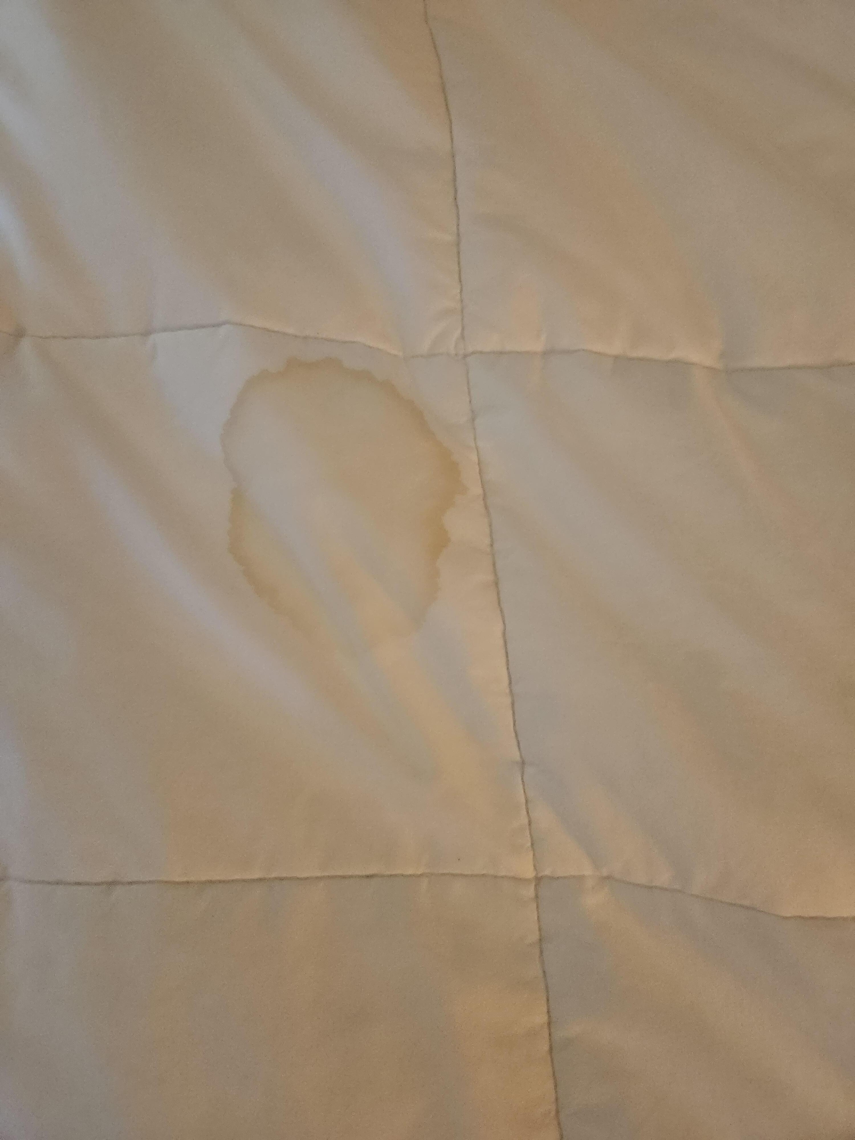 Urine on the bed spread. 