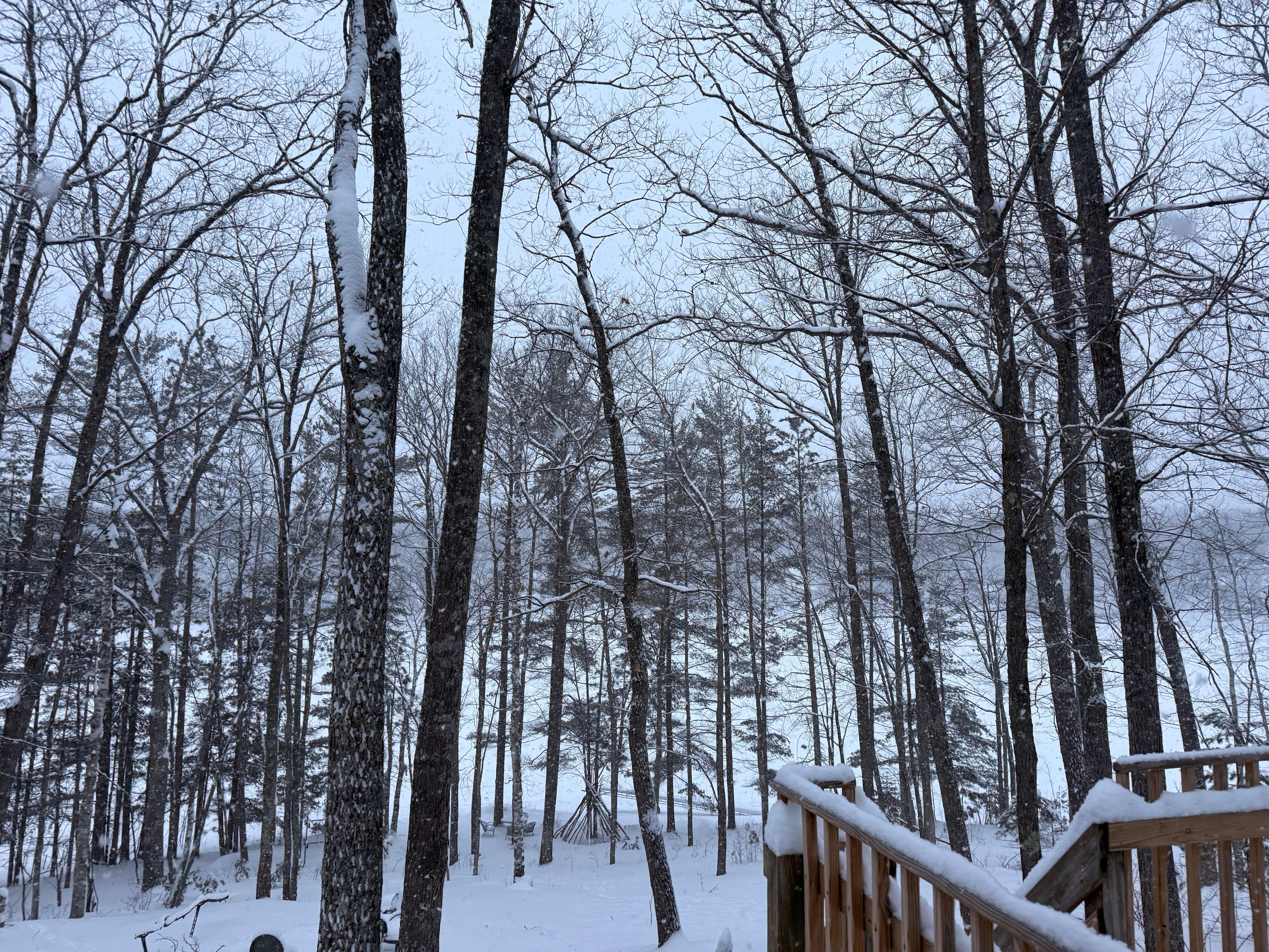 View of lake in the morning