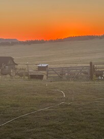 Sunrise from the entrance