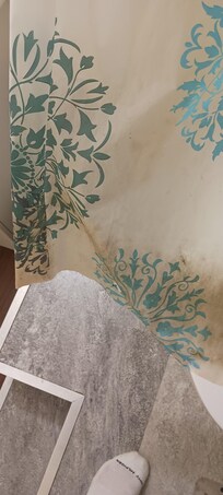 Bottom of shower curtain black with dirt.