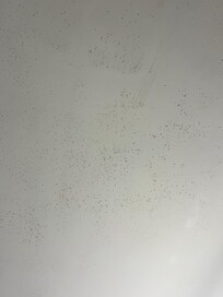 Mold spots on bathroom ceiling